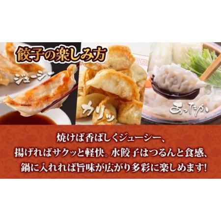 ふるさと納税 【大容量】北海道産豚肉のぎょうざ 120個!冷凍餃子 ギョーザ 国産 焼餃子 点心 滝川市 冷凍食品 北海道滝川市_2