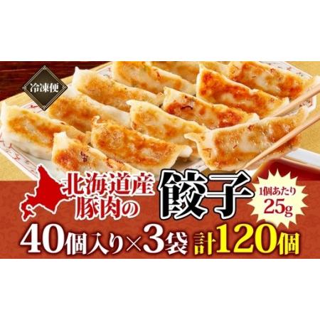 ふるさと納税 【大容量】北海道産豚肉のぎょうざ 120個!冷凍餃子 ギョーザ 国産 焼餃子 点心 滝川市 冷凍食品 北海道滝川市_3