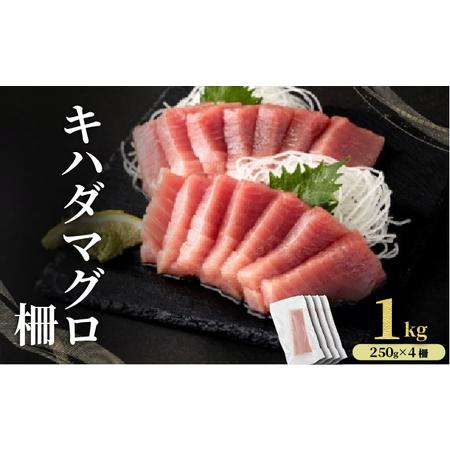 ふるさと納税 MT010-3 キハダマグロ 柵 [冷凍] 1kg 高知県東洋町