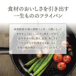 OIGEN 南部鉄器 両手鍋 フライパン 蓋付き 2WAY 直径約20cm ふるさと納税 南部鉄器 フライパン 20cm 【OIGEN 作】 IH調理器 伝統