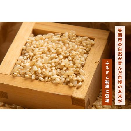 ふるさと納税 玄米 にじのきらめき 10kg 3ヵ月 定期便 (合計30kg) 米 