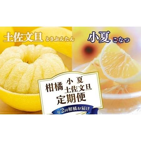 ふるさと納税 [定期便2回]土佐文旦 小夏 の柑橘フルーツ8 高知県安芸市