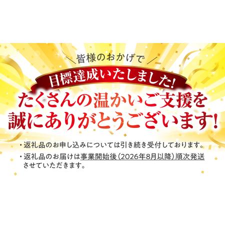 ふるさと納税 クラウドファンディング で 応援！【 全12回 定期便 】 鰻 の 蒲焼 5尾（170g×5） KN026-T09 うなぎ 惣菜 総菜 魚 鹿児島県鹿屋市