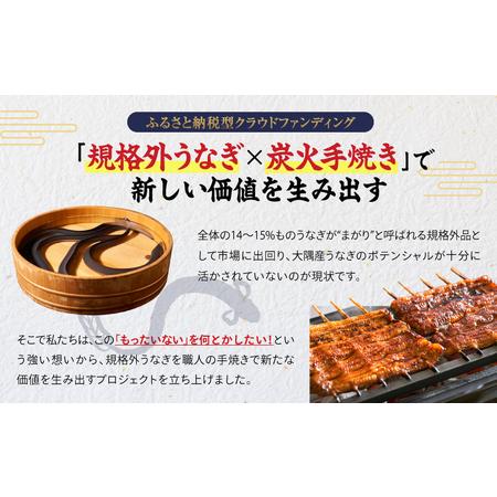ふるさと納税 クラウドファンディング で 応援！【 全12回 定期便 】 鰻 の 蒲焼 5尾（170g×5） KN026-T09 うなぎ 惣菜 総菜 魚 鹿児島県鹿屋市