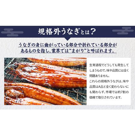 ふるさと納税 クラウドファンディング で 応援！【 全12回 定期便 】 鰻 の 蒲焼 5尾（170g×5） KN026-T09 うなぎ 惣菜 総菜 魚 鹿児島県鹿屋市