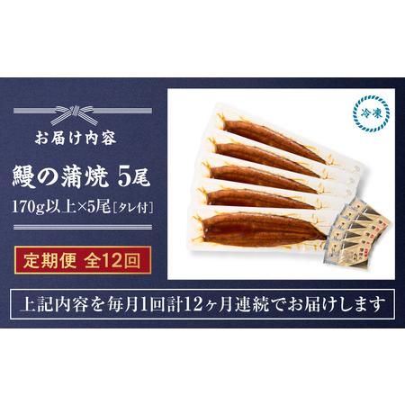 ふるさと納税 クラウドファンディング で 応援！【 全12回 定期便 】 鰻 の 蒲焼 5尾（170g×5） KN026-T09 うなぎ 惣菜 総菜 魚 鹿児島県鹿屋市