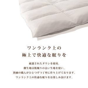 ふるさと納税 【クイーン】羽毛掛けふとん Luxury (ラグジュアリー) 220cm×210cm 山梨県忍野村の画像