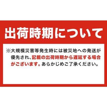 ふるさと納税 非常 トイレ 200回分＋予備40回分 大阪府羽曳野市_1