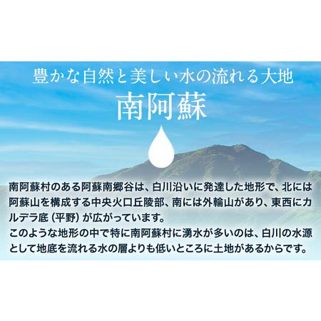 ふるさと納税 【3ヶ月定期便】白川水源 ミネラルウォーター タンク式  10L×2ケース ×3回《お申込み翌月から出荷》熊本県 南阿蘇村 .. 熊本県南阿蘇村の画像
