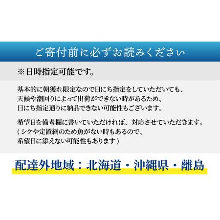 ふるさと納税 【先行予約】【2回お届け】【朝獲り】 鮮魚セット (大) 5種類以上 約5kg【お届け対象月:4月6月8月10月2月】【2026年4月以降発送.. 福井県南越前町の画像