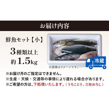 ふるさと納税 【先行予約】【3回お届け】【朝獲り】 鮮魚セット (小) 3種類以上 約1.5kg 【お届け対象月:4月6月8月10月2月】【2026年4月以降発.. 福井県南越前町の画像