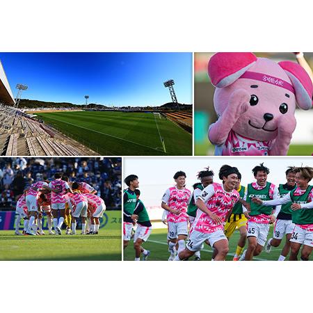 ふるさと納税 【サッカー 支援】 テゲバジャーロ 宮崎 J2 昇格 応援 5,000,000円 S28-07 宮崎県新富町の画像