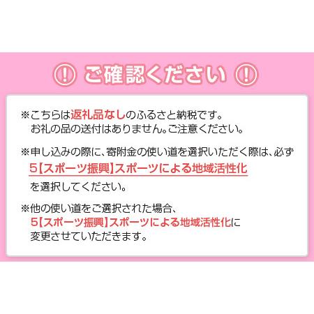 ふるさと納税 【サッカー 支援】 テゲバジャーロ 宮崎 J2 昇格 応援 5,000,000円 S28-07 宮崎県新富町の画像