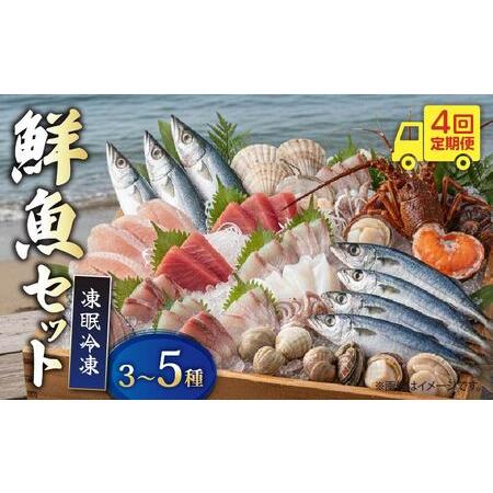 ふるさと納税 [ 鮮魚 ] 鮮魚 セット 4回 定期便 3種〜5種 高知県室戸市