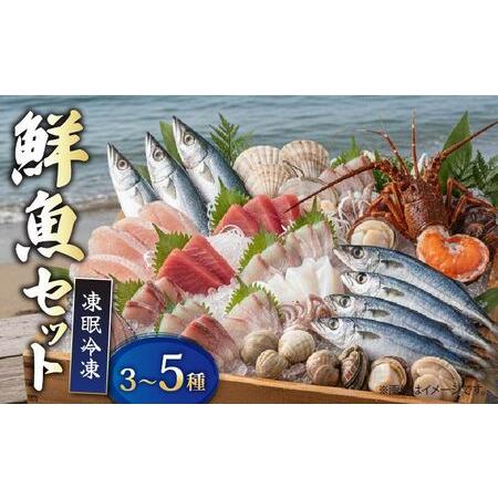ふるさと納税 [ 鮮魚 ] 鮮魚 セット 3種〜5種 高知県室戸市