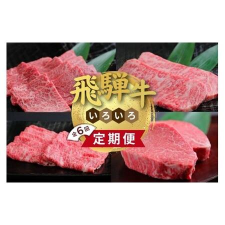 ふるさと納税 飛騨牛 いろいろ 定期便 毎月お届け全6回 食べ切り 約2人前|牛肉 セット 牛肉セット 限定 食べ比べ アソート 国産 和牛 ブランド.. 岐阜県瑞穂市