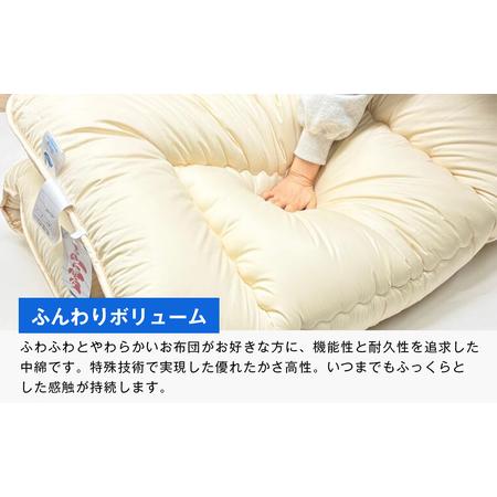 ふるさと納税 インビスタ ダクロン3.0kg入 バルキーファイバーフィル 清潔 ふんわり敷ふとんS 兵庫県淡路市の画像