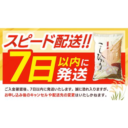 ふるさと納税 ＼ 最短7営業日以内に発送 ／【令和7年産】コシヒカリ 