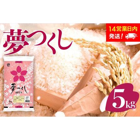 ふるさと納税 [定期便:6ケ月]令和7年産 福岡県産米 夢つくし 5kg 精米 CY008sub6 福岡県大木町