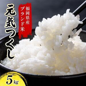 ふるさと納税 [定期便:6ケ月]令和7年産 福岡県産米 元気つくし 5kg 精米 CY011sub6 福岡県大木町