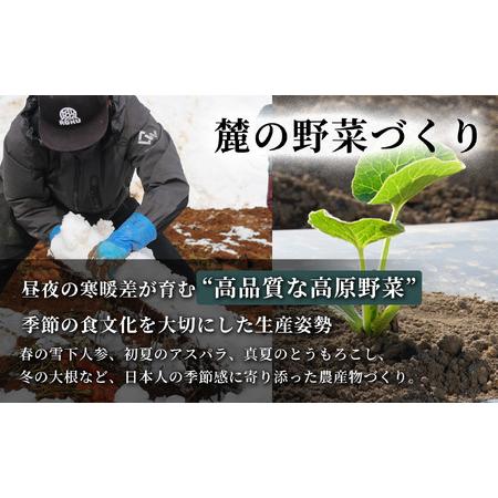 ふるさと納税 雪下にんじんジュース 果汁MIXタイプ 200ml（12本1箱）定期便・全2回 | 津南町 にんじん 新潟県津南町_3