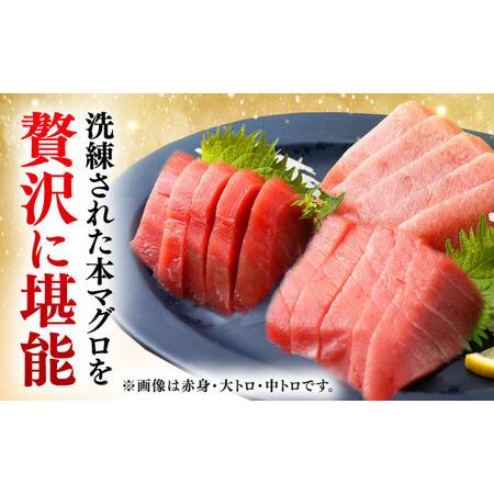 ふるさと納税 【全6回定期便】対馬産 本マグロ 赤身200g ≪対馬市≫【桐谷商店】 トロの華 対馬 新鮮 マグロ 赤身 鮪 刺身[WAQ113] 長崎県対馬市の画像