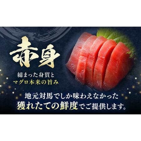 ふるさと納税 【全6回定期便】対馬産 本マグロ 赤身200g ≪対馬市≫【桐谷商店】 トロの華 対馬 新鮮 マグロ 赤身 鮪 刺身[WAQ113] 長崎県対馬市の画像