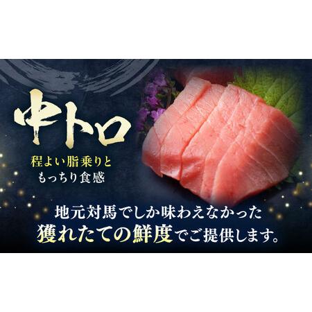 ふるさと納税 【全6回定期便】対馬産 本マグロ 中トロ200g ≪対馬市≫【桐谷商店】 トロの華 対馬 新鮮 マグロ 中トロ トロ 鮪 刺身[WAQ121] 長崎県対馬市の画像