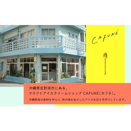 ふるさと納税 添加剤不使用 CAFUNE カフネ アイスクリーム 12個セット | 沖縄の食材 国産 厳選素材 沖縄素材 地産地消 手づくり アイス ハンド.. 沖縄県宜野湾市の画像