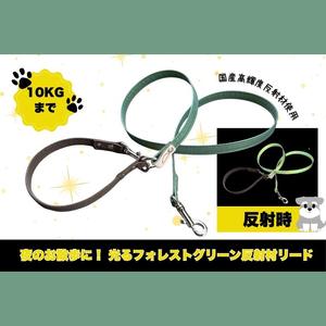 ふるさと納税 『ギラギラ・フォレストグリーン』犬用光るリード/特注高輝度反射材使用[小型犬用10キロまで]|散歩 愛犬 夜散歩 阿見町 茨城県.. 茨城県阿見町