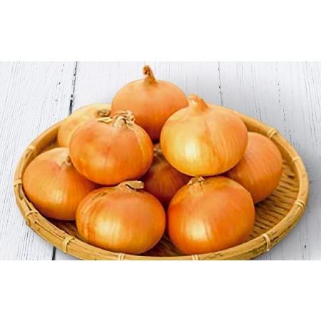 ふるさと納税 ひょうご安心ブランド認証 特別栽培の玉ねぎ「戎珠(えびすたま)」5kg 兵庫県南あわじ市|furunavi|02