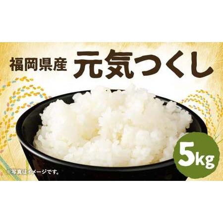 ふるさと納税 [先行予約]令和7年産 元気つくし 5kg×1袋 / 米 お米 ご飯 精米 九州 福岡 福岡県筑後市
