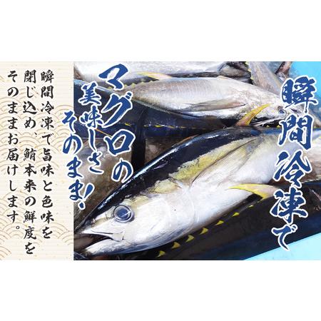 ふるさと納税 【3回定期便】まぐろ柵 8袋(800g以上) - 定期便 国産 刺身 ブロック 海鮮丼 漬け丼 煮物 生食 焼き物 鮪 マグロ 小分けパック 柵ど.. 高知県香南市の画像