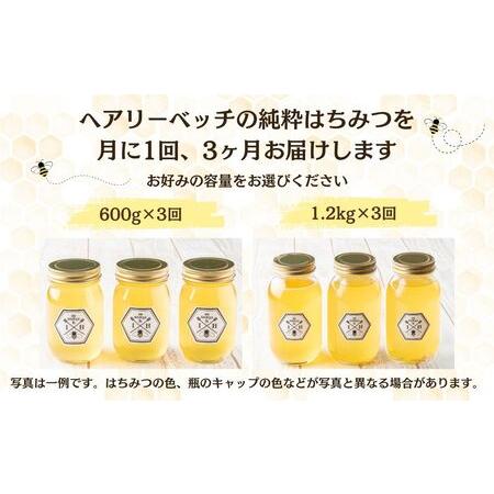 ふるさと納税 【定期便3回】むろうはちみつ 奈良産 純粋はちみつ へアリーベッチ (600g×3回)／ 66832 室生 国産 蜂蜜 ハニー ギフト お取り.. 奈良県宇陀市の画像