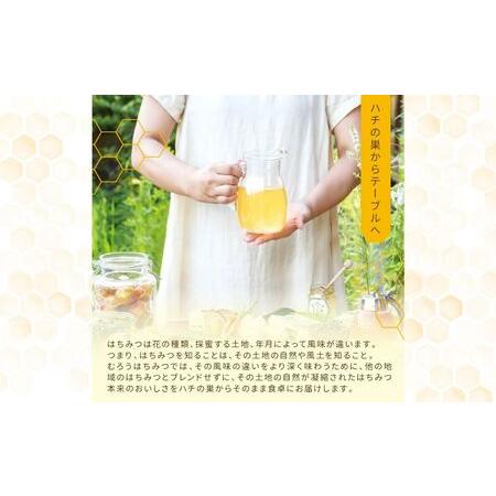 ふるさと納税 【定期便3回】むろうはちみつ 奈良産 純粋はちみつ 種類おまかせ (600g×3回)／ 66832 室生 国産 蜂蜜 ハニー ギフト お取り寄.. 奈良県宇陀市の画像