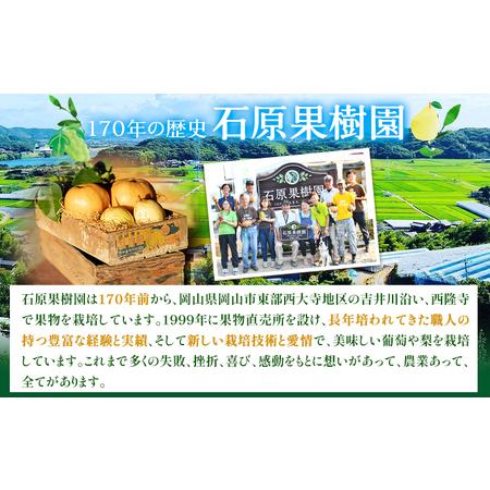 ふるさと納税 米 こめ コメ 備前乙女米 白米 20kg 石原果樹園《30日以内に出荷予定（土日祝除く）》岡山県 浅口市 ご飯 お米 国産 岡山県産 送料.. 岡山県浅口市_1