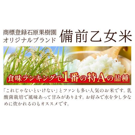 ふるさと納税 米 こめ コメ 備前乙女米 白米 20kg 石原果樹園《30日以内に出荷予定（土日祝除く）》岡山県 浅口市 ご飯 お米 国産 岡山県産 送料.. 岡山県浅口市_2
