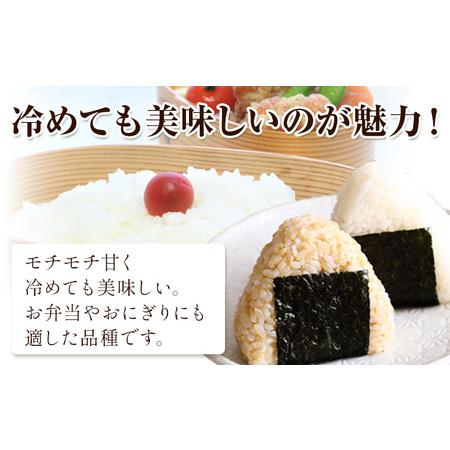 ふるさと納税 米 こめ コメ 備前乙女米 白米 20kg 石原果樹園《30日以内に出荷予定（土日祝除く）》岡山県 浅口市 ご飯 お米 国産 岡山県産 送料.. 岡山県浅口市_3
