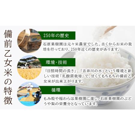 ふるさと納税 米 こめ コメ 備前乙女米 白米 20kg 石原果樹園《30日以内に出荷予定（土日祝除く）》岡山県 浅口市 ご飯 お米 国産 岡山県産 送料.. 岡山県浅口市_4