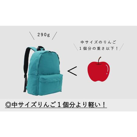 ふるさと納税 【TO＆FRO】超軽量！撥水機能付きバックパック【ブラック】| リュック リュック 超軽量 トゥーアンドフロー 石川県かほく市_1