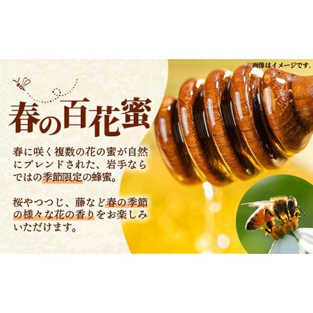 ふるさと納税 【定期便6か月】イーハトーブ養蜂場の風の森のはちみつ春の花々の芳ばしさ300g 定期便 6か月 はちみつ 蜂みつ 蜂みつ お前さん 春 桜 つ.. 岩手県岩手町