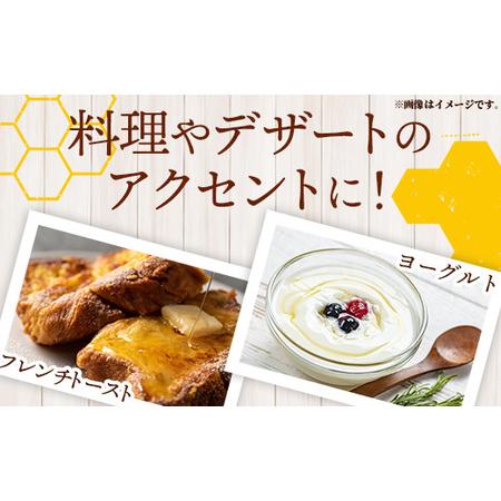 ふるさと納税 【定期便6か月】イーハトーブ養蜂場の風の森のはちみつ春の花々の芳ばしさ300g 定期便 6か月 はちみつ 蜂みつ 蜂みつ お前さん 春 桜 つ.. 岩手県岩手町