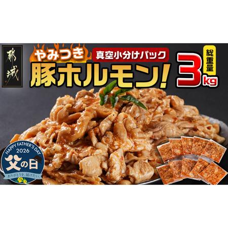 ふるさと納税 [父の日]やみつき豚ホルモン!3kg!真空小分けパック!≪6月18日〜21日お届け≫_LG8-3303-FG_(都城市) 国産 味付き 300g×10P .. 宮崎県都城市