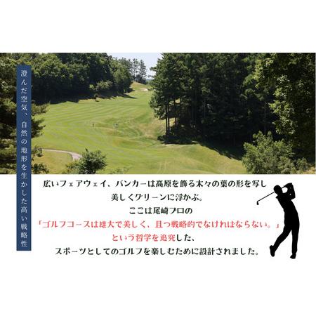 ふるさと納税 佐久リゾートゴルフ倶楽部 プレー代優待券 2名様［SR-102］ 長野県佐久穂町の画像