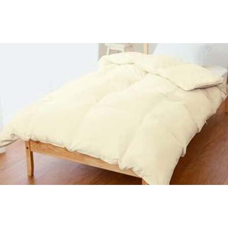 ふるさと納税 マンション専用 シングル サイズ 羽毛布団 ( ダウン 85% ・ 充填量 700g ・ アイボリー ) 洗える 羽毛ふとん 収納ケース付き 軽.. 福岡県筑後市