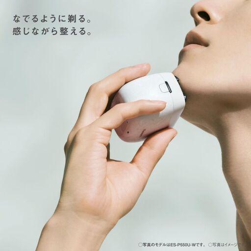ふるさと納税 パナソニック ラムダッシュ パームイン 5枚刃 マット