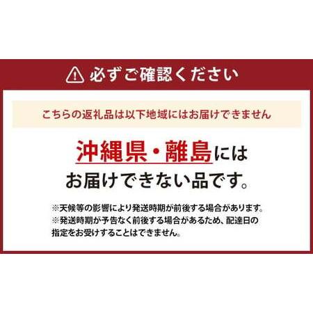 ふるさと納税 桃 3kg （7〜9玉） もも モモ ピーチ 果物 フルーツ 山梨県産 国産 【2026年6月下旬〜8月下旬発送予定】 山梨県中央市の画像