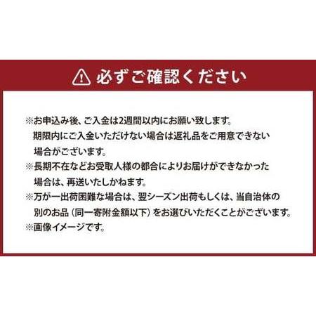 ふるさと納税 桃 3kg （7〜9玉） もも モモ ピーチ 果物 フルーツ 山梨県産 国産 【2026年6月下旬〜8月下旬発送予定】 山梨県中央市の画像
