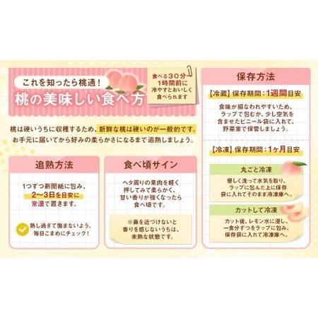 ふるさと納税 桃 3kg （7〜9玉） もも モモ ピーチ 果物 フルーツ 山梨県産 国産 【2026年6月下旬〜8月下旬発送予定】 山梨県中央市の画像