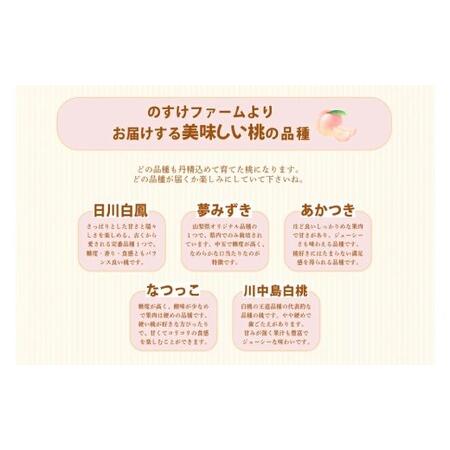 ふるさと納税 桃 3kg （7〜9玉） もも モモ ピーチ 果物 フルーツ 山梨県産 国産 【2026年6月下旬〜8月下旬発送予定】 山梨県中央市の画像